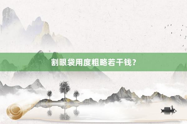 割眼袋用度粗略若干钱？