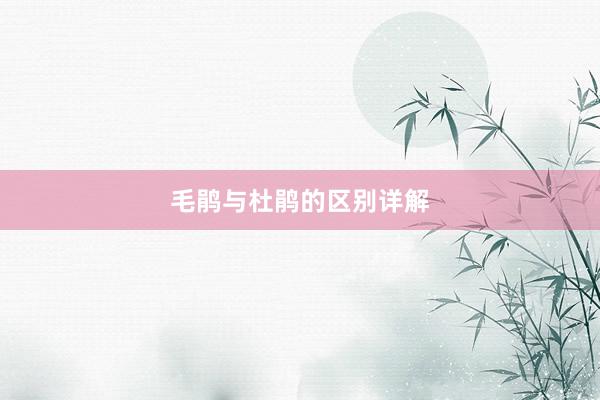 毛鹃与杜鹃的区别详解